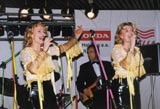 Foto - Kamelie